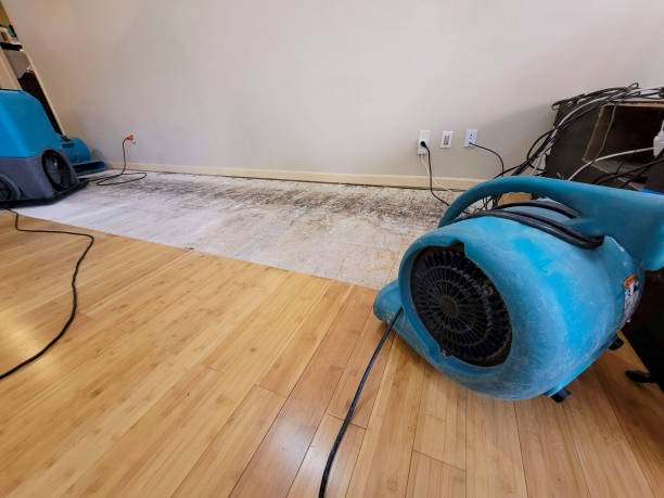 Professional Basement Flood Cleanup technician working in Leesport, PA